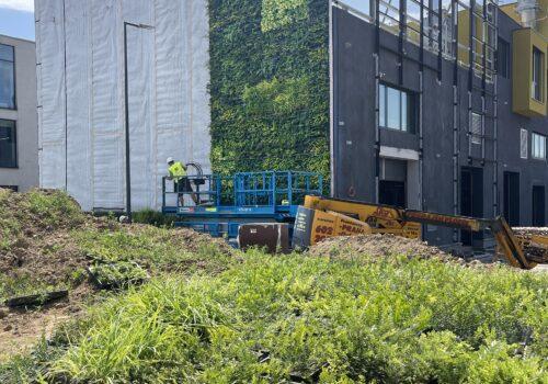 CEETe - instalace zelené fasády (červenec 2023)