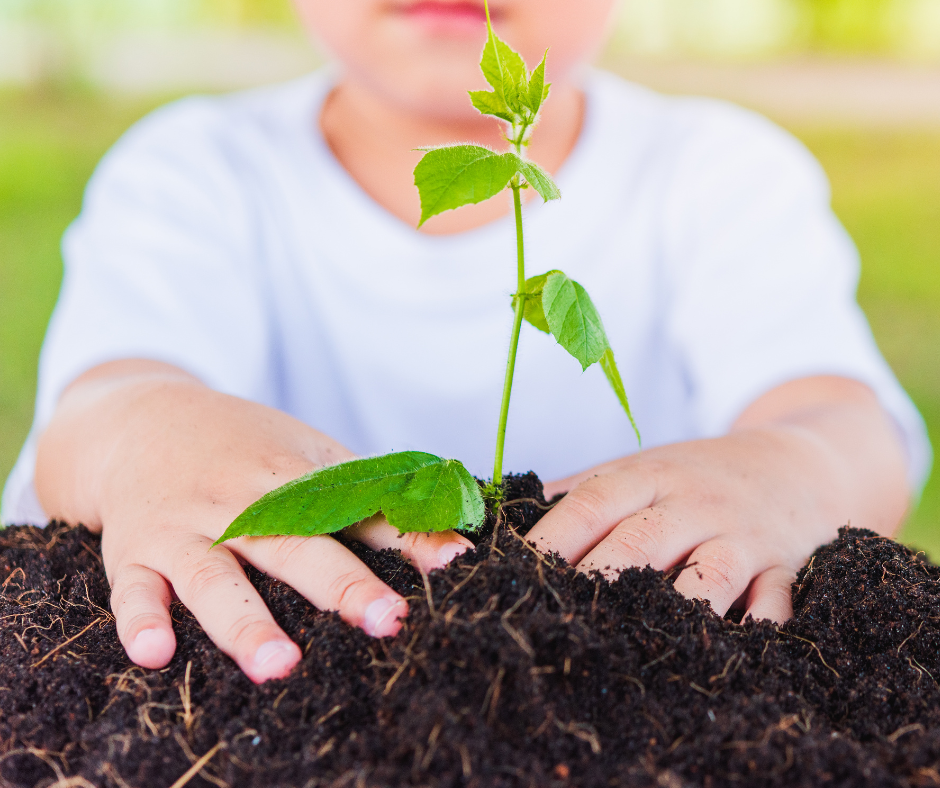 Strategické dokumenty (28)