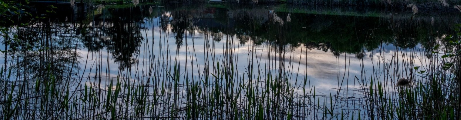 Slidery web (12)